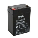 Kuru Akü 4V 5.5A 7x10x4.5 cm Lightex LT-45N R8