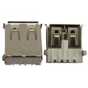 Usb Şase 90 Derece Yatık Dişi Pioneer PK-6195  Ç1